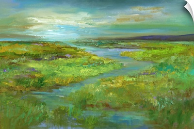 Wetlands In Spring