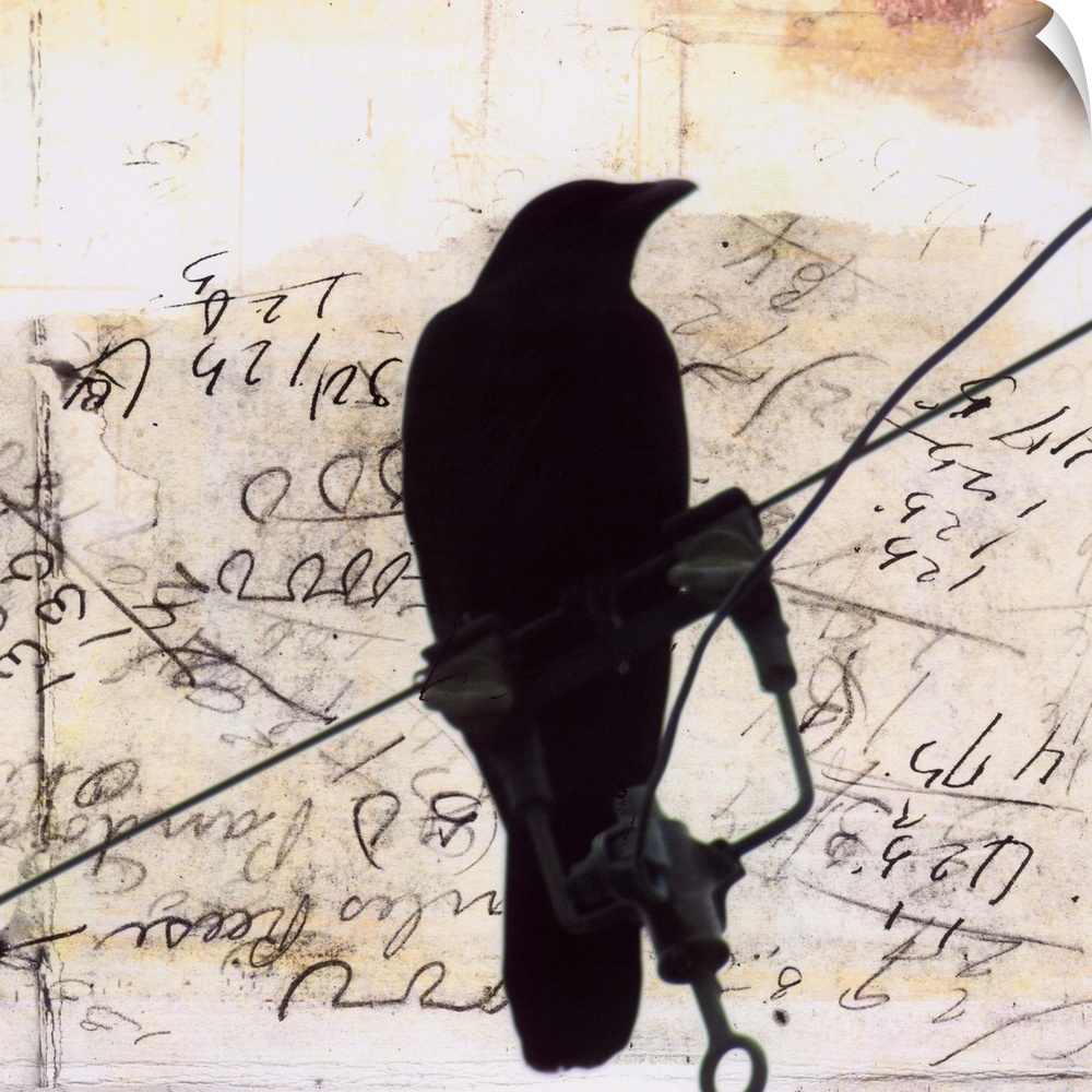 Artwork of a silhouetted crow perched on a wire against a scribbled weathered piece of paper.