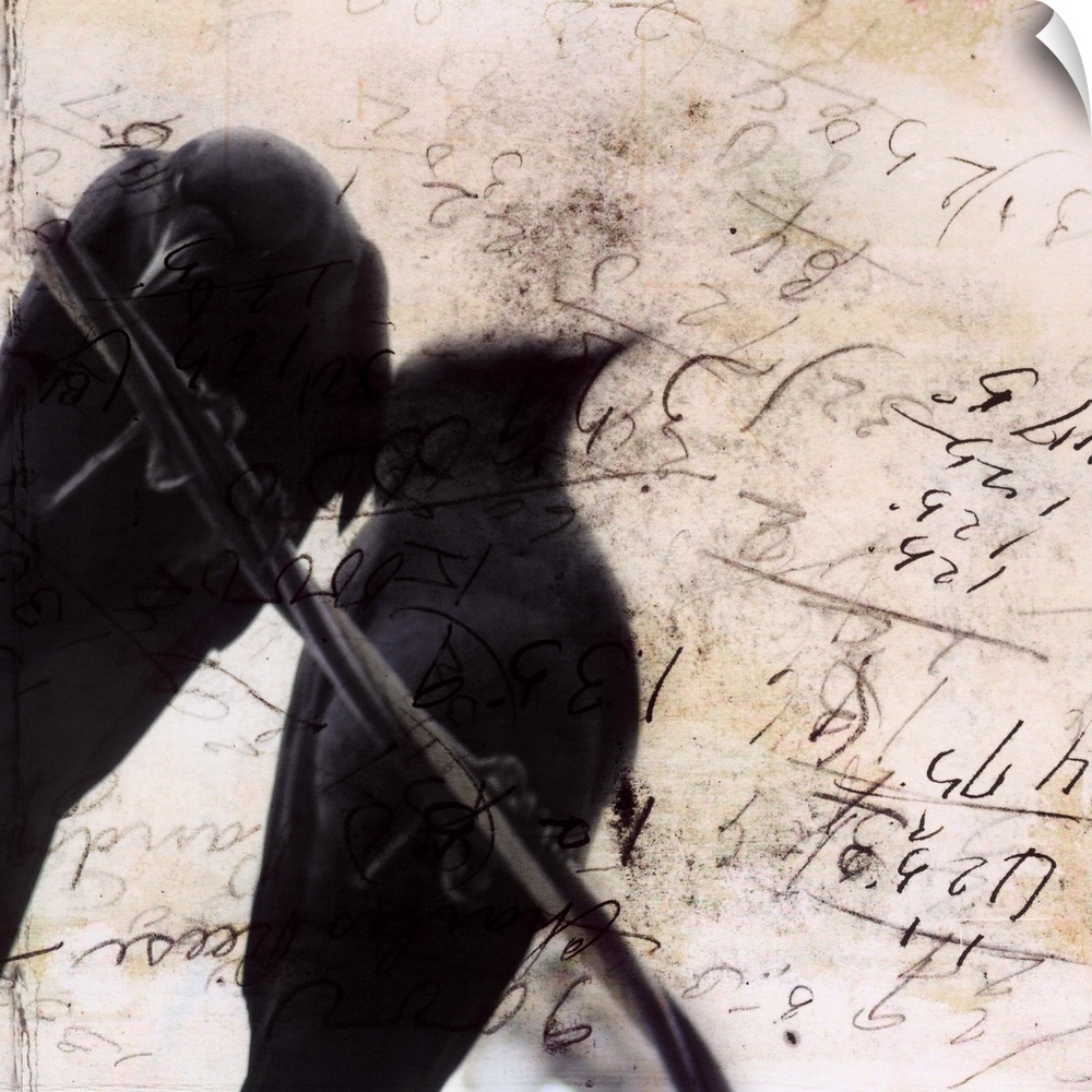 Artwork of pair of silhouetted crows perched on a wire against a scribbled weathered piece of paper.
