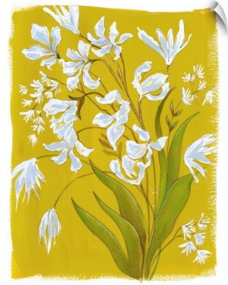 White Blooms In Yellow Field I