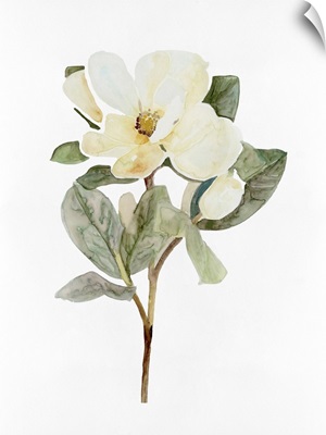White Blossom VI