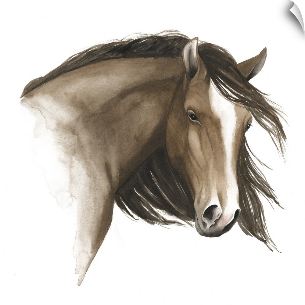 Contemporary watercolor painting of a portrait of a horse with a flowing mane against a white background.