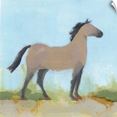 Wild Pony II