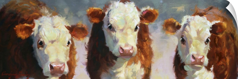 Contemporary painting of three cows in the afternoon sunlight.