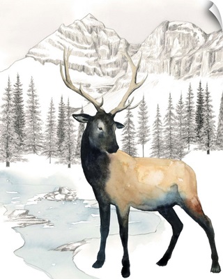 Winter Elk I