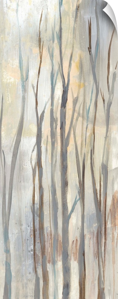 Neutral-toned landscape with tall birch trees.