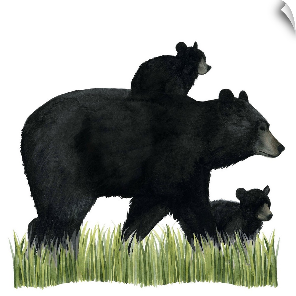 Watercolor portrait of a bear and its cub on a grassy landscape.