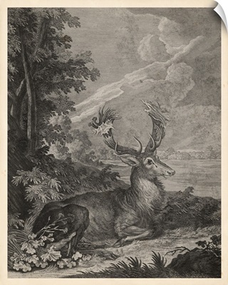 Woodland Deer III