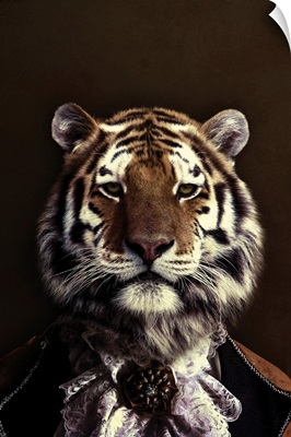 Classy Tiger 2