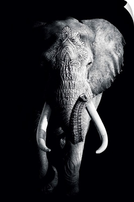 Dark Elephant 3