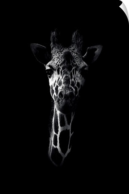 Dark Giraffe