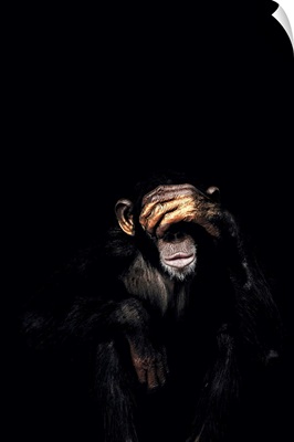 Dark Monkey See No Evil
