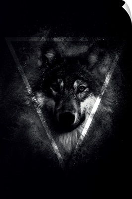 Dark Wolf 2