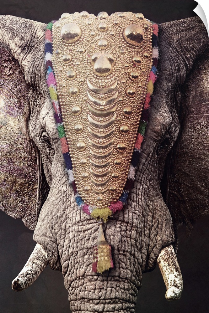 Decorated Elephant