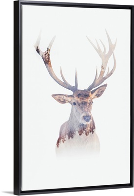 Antlers Of The Forest