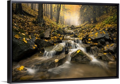 Autumn Stream