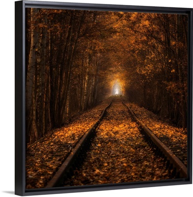 Autumn Tunnel
