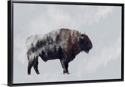 Bison - Double Exposure