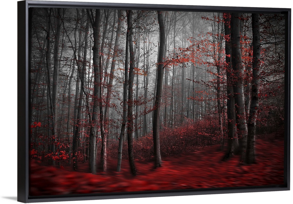 Blurred motion image of a forest in the fall, with red leaves on the ground resembling a river.