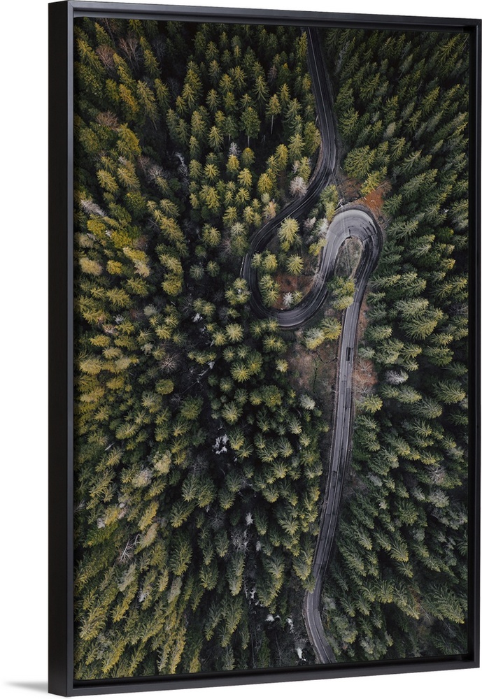 Drone view of winding forest road.