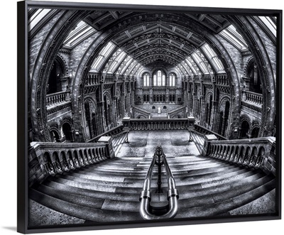 Harry Potter Meets Escher And Darwin