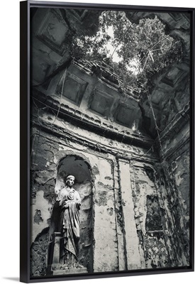 Looking Into The Past