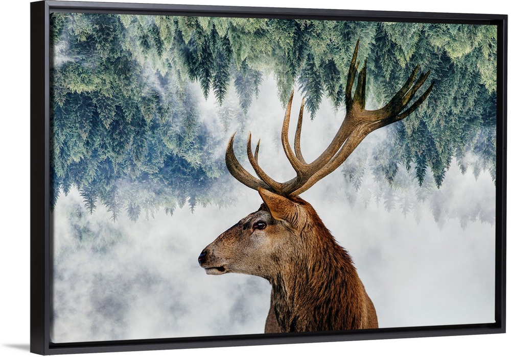 The Deer And The Woods