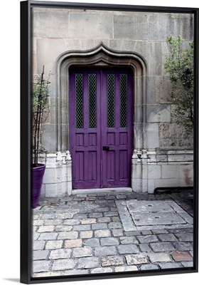 Purple Door IV