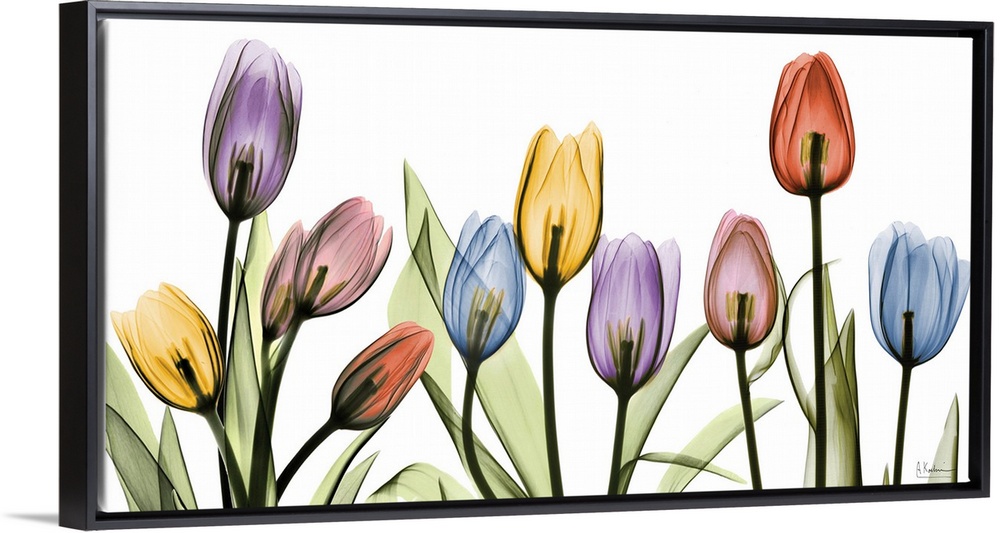 Ten transparent blooms and their leaves on a horizontal gicloe print; this oversized wall art displays floral blossoms wit...