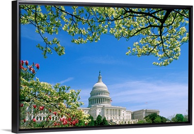 Capitol Building Washington, DC, USA