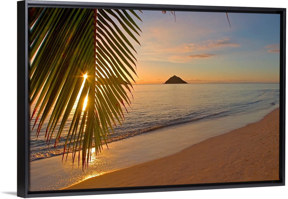 Photograph of beach at dawn with mountain silhouettes in distance.  There is a single palm tree leaf hanging  over half th...