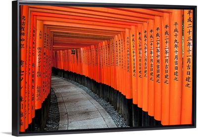 Japan, Red Columns Along Pathway, Kyoto