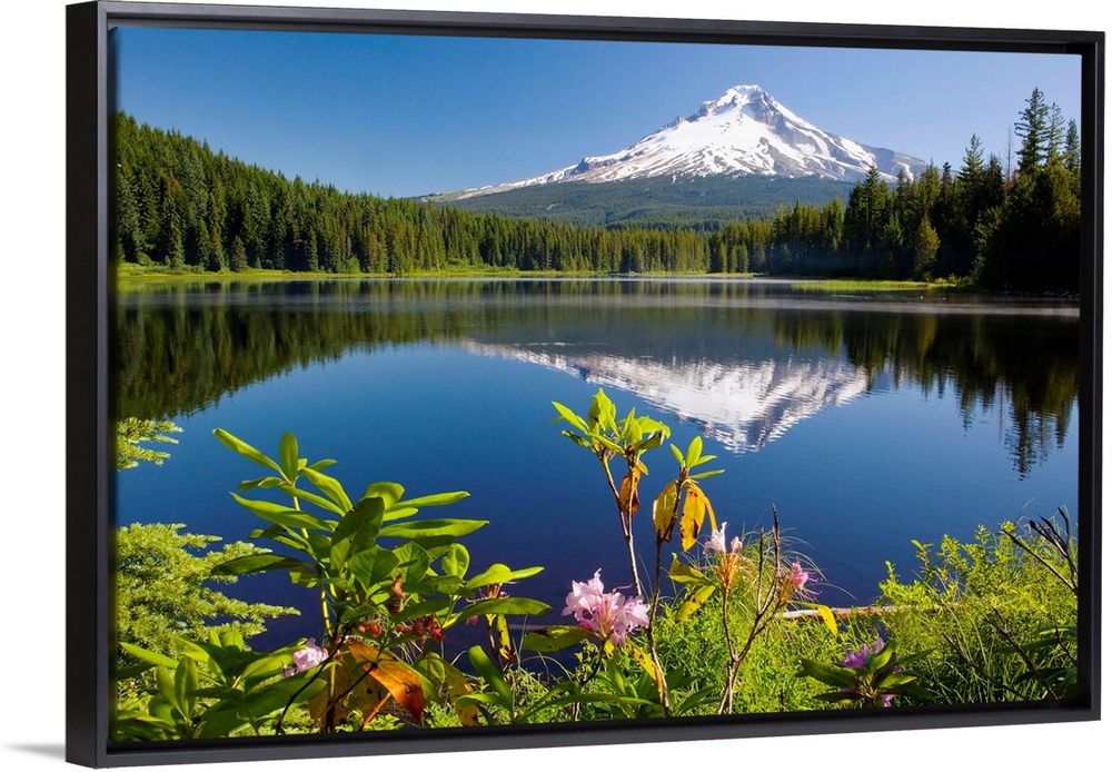 Reflection Of Mount Hood In Trillium Lake In The Oregon Cascades; Oregon