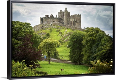 Rock Of Cashel; Cashel County Tipperary Ireland