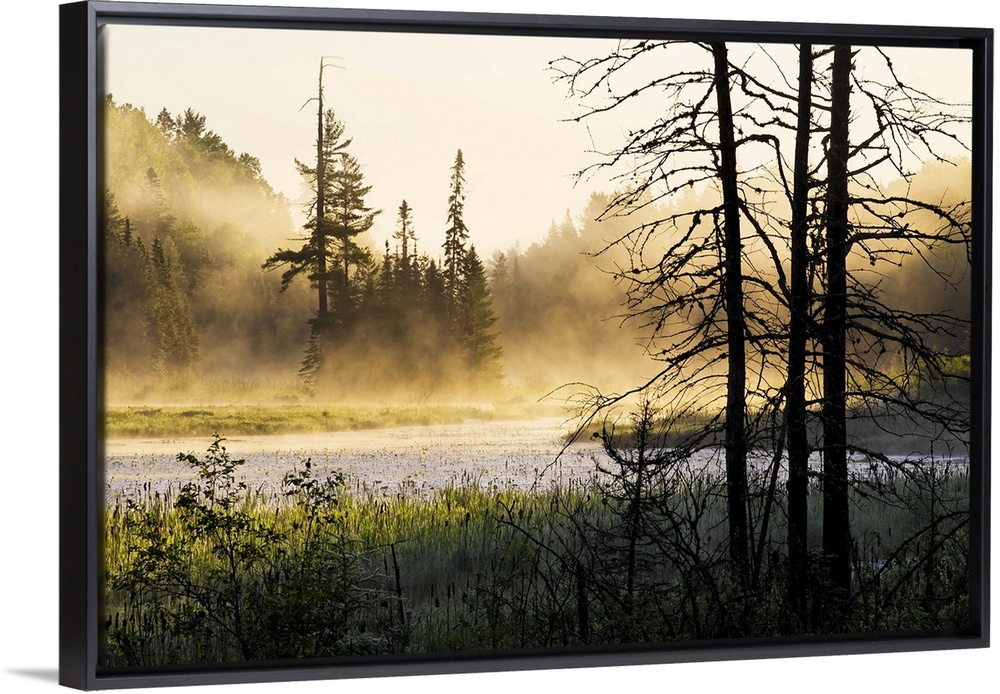 Big photo on canvas of a forest landscape covered in fog and bathed in various places with warm sunlight.