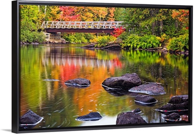 Fall Along the Oxtongue River