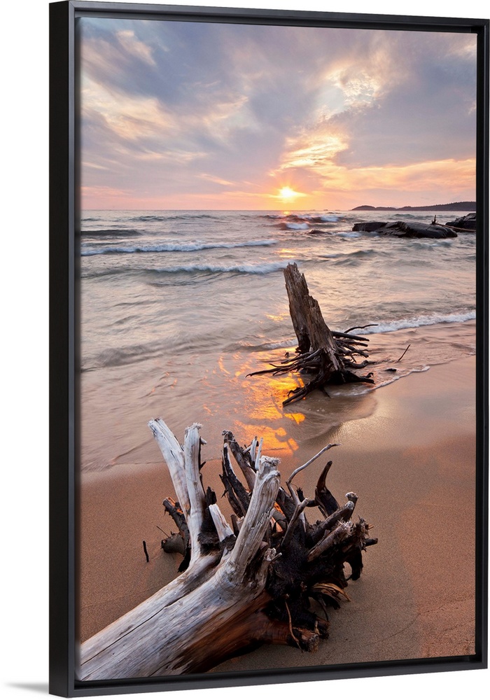 Pastel scene of two large pieces of sea bleached driftwood, lining up with the setting sun as shallow waves form in the oc...