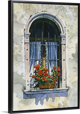 Arched Window with Geraniums - Vincenza