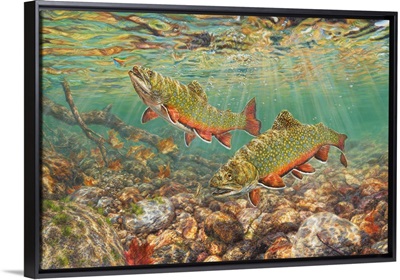 River Light - Brook Trout