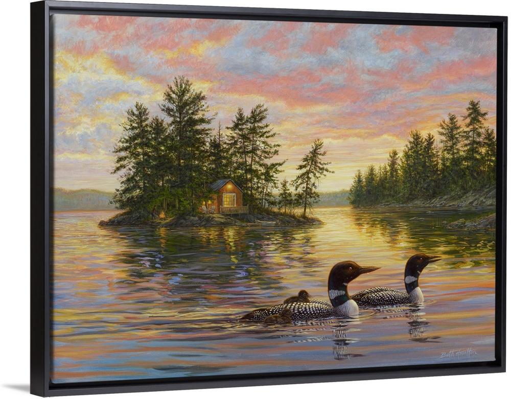 Tranquil Evening - Loons
