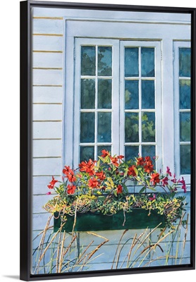 Window With Mandevilla - Macatawa