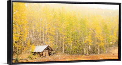 Autumn Cabin