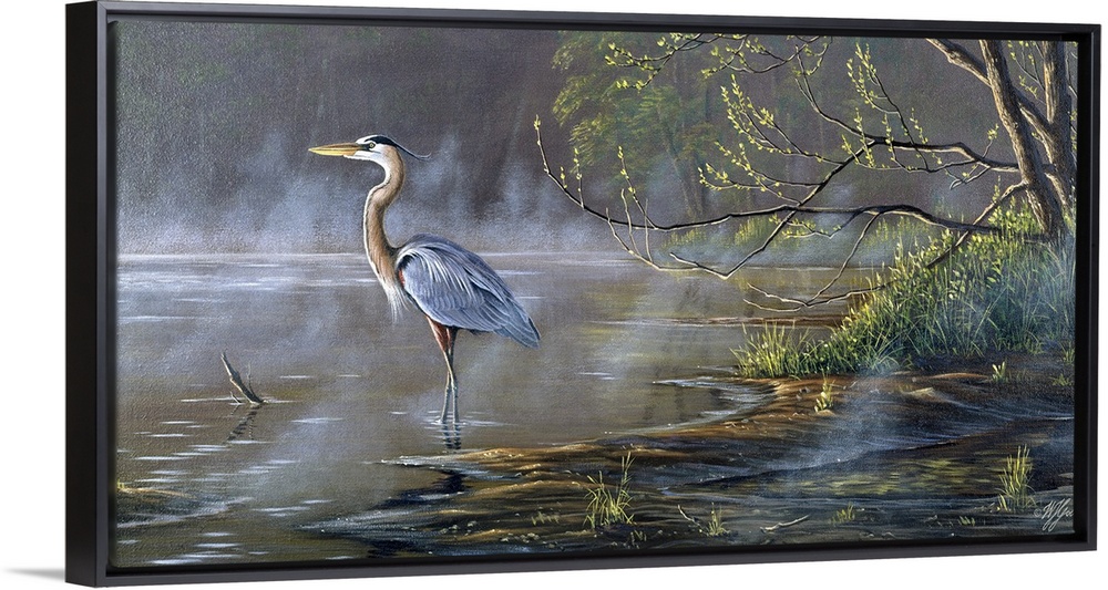 Great blue heron in a pond.