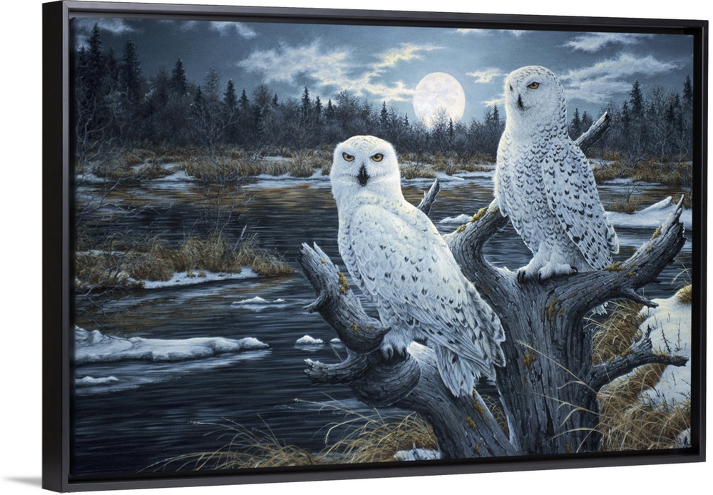 a pair of white owls perched in the top of a dead tree with the moon rising in the background