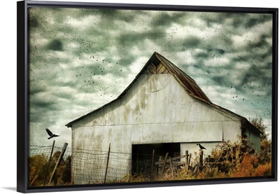 Where The Crows Roost In Autumn