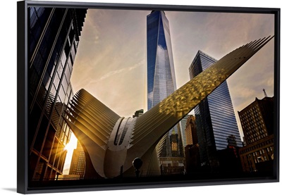 Freedom Tower And Oculus