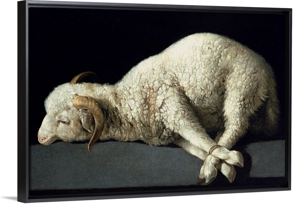 XIR154905 Agnus Dei, c.1635-40 (oil on canvas) by Zurbaran, Francisco de (1598-1664); Prado, Madrid, Spain; Spanish