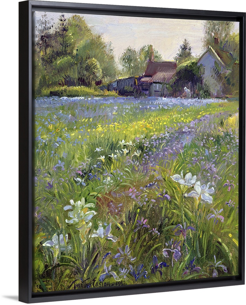 Dwarf Irises and Cottage, 1993
