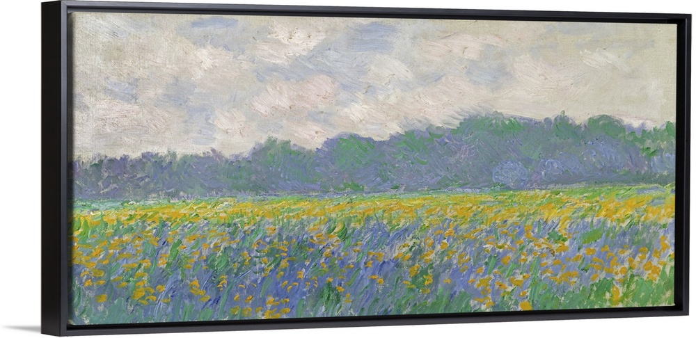 Field Of Yellow Irises At Giverny, 1887