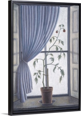 Plant in Window, 2003